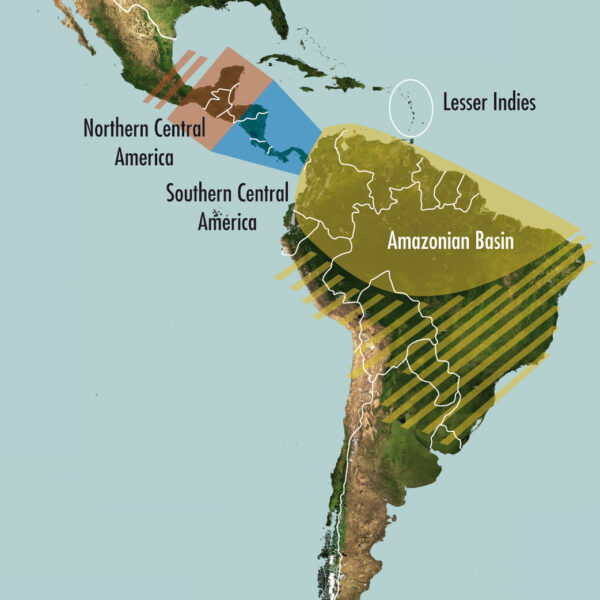 SonoChiro - Image 3