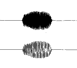 Pettersson Elektronik AB – Bat detectors and sound analysis